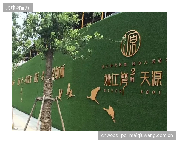 成都体投集团揭示：有限元疲劳评估让老旧社区球场的安全升级预算实现了精准投放